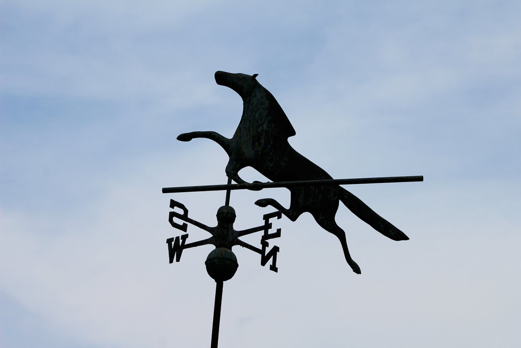 wind_vane_by_foxsilong-d8xq3ec